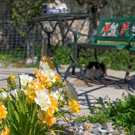 Billys House Casa de Férias